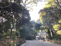 明治神宮５